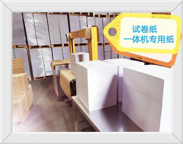 试卷纸13